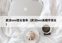 武汉seo优化包年（武汉seo关键字优化）