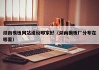 湖南模板网站建设哪家好（湖南模板厂分布在哪里）