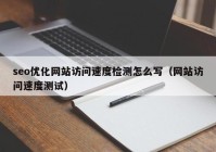 seo优化网站访问速度检测怎么写（网站访问速度测试）